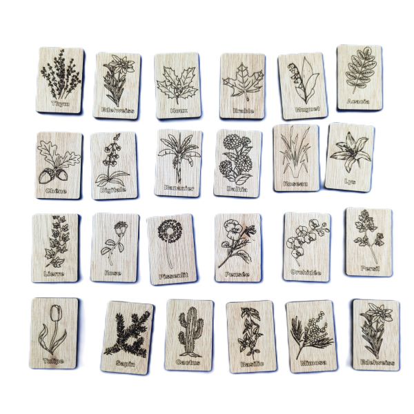 Jeu de mémoire adulte: vue d'ensemble des pièces