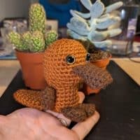 Amigurumi ornithorynque dans une main